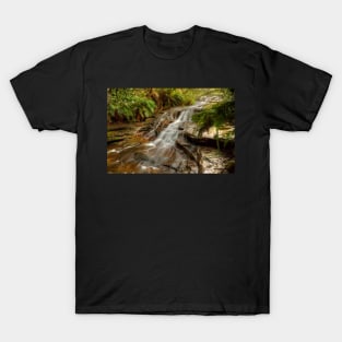Aqua Silk, Rocks & Ferns T-Shirt